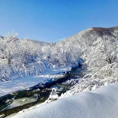 жива вода *