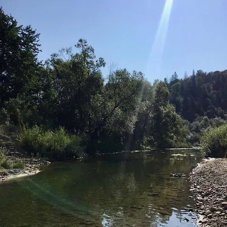 жива вода * Sheshory