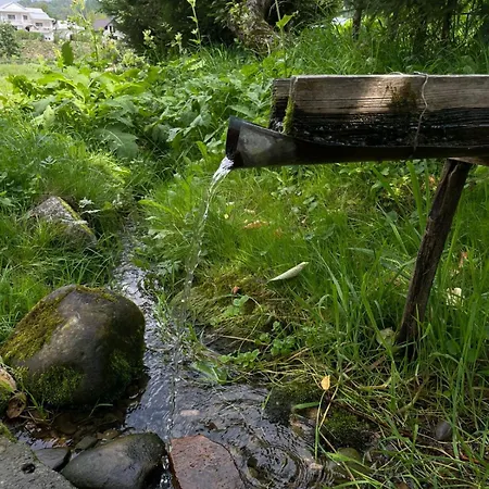 Ferienhaus жива вода