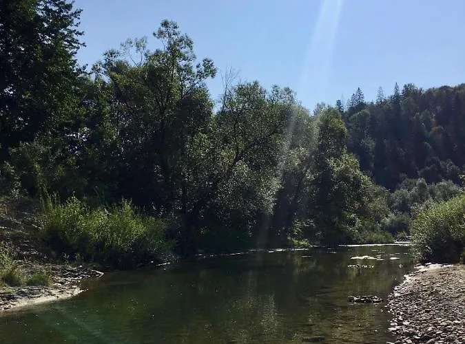 жива вода * Sesori