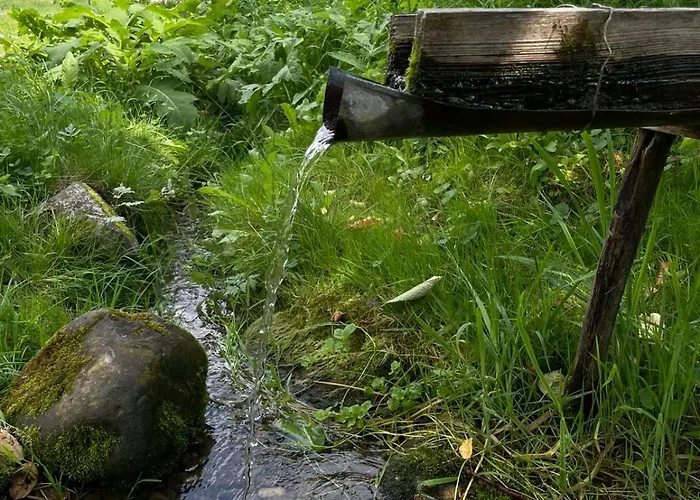 Nyaraló жива вода