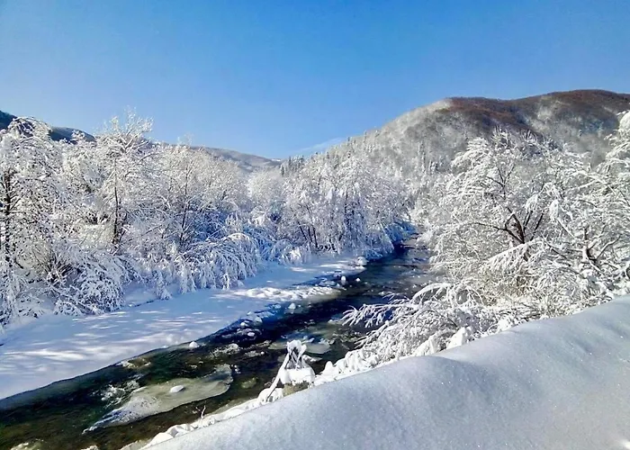 жива вода *
