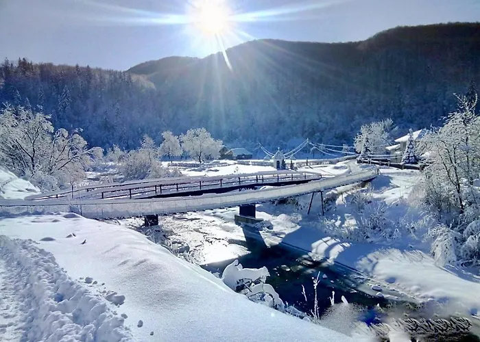 Tatil Evi жива вода *